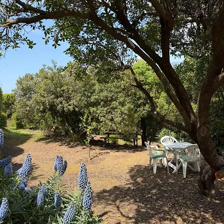 Rez-de-villa Avec Jardin - * Propriano (Corsica)