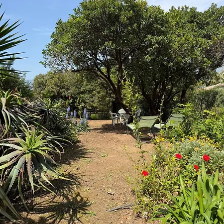 Rez-de-villa Avec Jardin - *